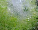 ねぎとたまごとかつおぶし作り方8写真