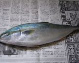 簡単～大きめ魚のサバキ方～作り方1写真