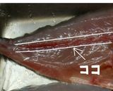 簡単～大きめ魚のサバキ方～作り方11写真