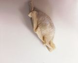 皮から手作り♡我が家の手作り餃子作り方12写真