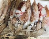 あっさり、ひいかの煮つけ作り方1写真