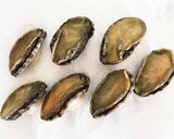 ワインに合う!奥尻島のえぞあわび①作り方4写真