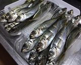 【揚げない】丸ごと小アジの南蛮酢作り方2写真