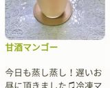 甘酒マンゴー作り方7写真