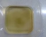 夏野菜としらすの白だし漬け作り方5写真