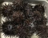 誰でも捌けるウニの捌き方作り方1写真