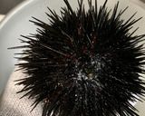 誰でも捌けるウニの捌き方作り方2写真