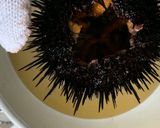 誰でも捌けるウニの捌き方作り方5写真