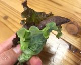 美味しい鹿焼肉レシピ作り方7写真