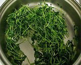 タコと豆苗のオイスターソースがけ作り方2写真