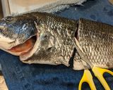 愛知の魚100　黒鯛のアクアパッツァ作り方3写真