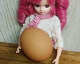 リカちゃん♡にじます鍋(鮎鍋風)〆編作り方10写真