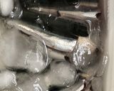 自家製オイルサーディン作り方1写真