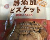 ブルーベリーチーズケーキ　2層作り方3写真