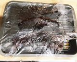 キャンプ　ダッチオーブン　チャーシュー2作り方16写真