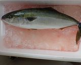 ブリの刺身作り方1写真