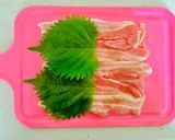ぉ家で♡ミニ焼き鳥〜居酒屋気分♡作り方15写真