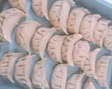 低脂質餃子の具40個分作り方3写真
