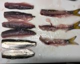 コハダの酢漬けにキュウリと新生姜◎作り方2写真