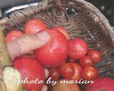 トマト大量消費保存に☆完熟トマトの水煮作り方2写真