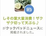 大葉の大量消費！ザクザク切って天ぷら♪作り方10写真