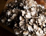 薬膳 まいたけの炊き込みご飯作り方1写真