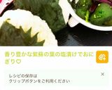 大葉の塩漬け☆長期保存可能☆赤紫蘇でも可作り方10写真