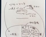高校1年女子お弁当♡2020.07.31作り方12写真