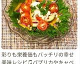フレッシュな夏野菜＆茹で鶏のサラダ作り方10写真