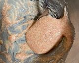 ゴーヤワタのカレー天 明太マヨ添え作り方5写真