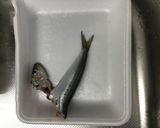 塩っぱくない酸っぱくない 酢漬け鰯作り方3写真
