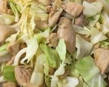 鶏肉の味噌炒め焼き（鶏ちゃん風）作り方8写真