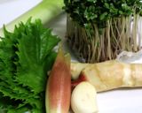夏バテ防止に！重宝☆万能薬味作り方1写真