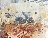 楽チン♪鶏モモ肉唐揚げ♪作り方3写真
