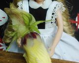リカちゃん♡花オクラの即席出汁おひたしꕤ作り方2写真
