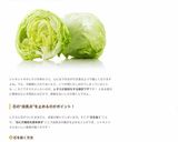 レタスの芯の抜き方＆鮮度を保つ保存法作り方8写真