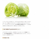 レタスの芯の抜き方＆鮮度を保つ保存法作り方8写真