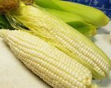 トウモロコシのひげ茶！！作り方1写真