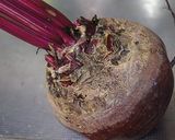 ビーツの即席漬け作り方1写真
