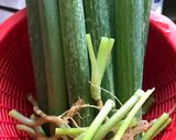 炊飯器でチキンライス作り方3写真