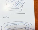 高校1年女子お弁当♡2020.08.03作り方8写真