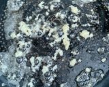 きのこと牛蒡の味噌バター炒め作り方4写真