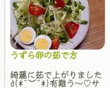 うずら卵の茹で方作り方8写真