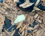 きのこと牛蒡の味噌バター炒め作り方7写真