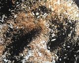 余った鮭で作る♡イタリアンふりかけ作り方1写真
