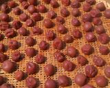 ジップロックで梅干し作り方5写真