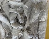 【基本】小アジのフライ作り方5写真