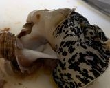 【シライトマキバイ】灯台ツブ作り方7写真