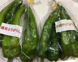 万願寺唐辛子と福耳唐辛子の肉詰めグリル作り方1写真