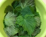 大葉のジェノベーゼソース作り方1写真